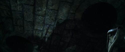 CS-Potterish_08924.jpg