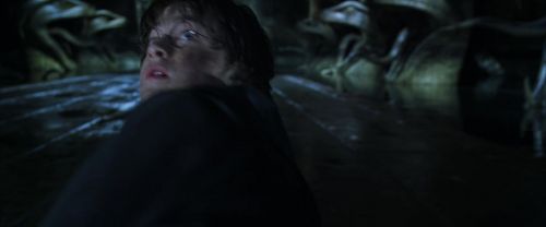 CS-Potterish_08932.jpg