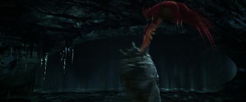 CS-Potterish_08934.jpg