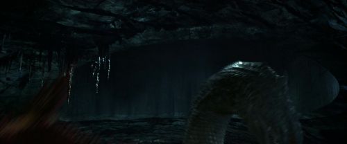 CS-Potterish_08935.jpg