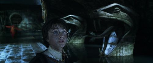 CS-Potterish_08938.jpg