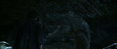 CS-Potterish_08940.jpg