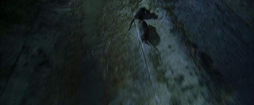 CS-Potterish_08965.jpg