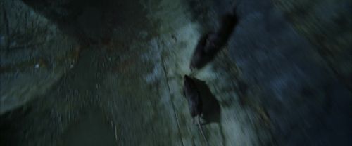 CS-Potterish_08966.jpg