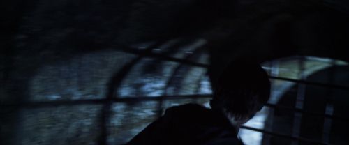 CS-Potterish_08968.jpg