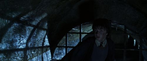 CS-Potterish_08972.jpg