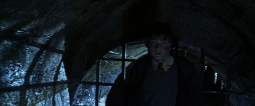 CS-Potterish_08976.jpg
