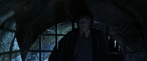 CS-Potterish_08977.jpg