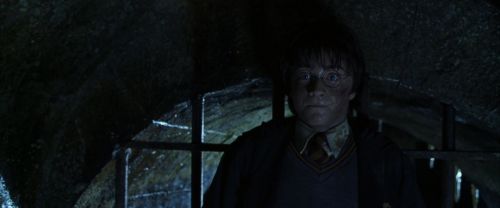 CS-Potterish_08979.jpg