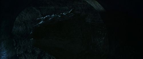 CS-Potterish_08983.jpg