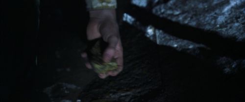 CS-Potterish_08998.jpg