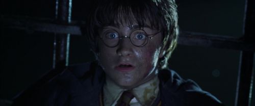 CS-Potterish_09006.jpg