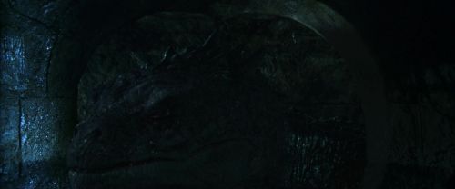 CS-Potterish_09008.jpg