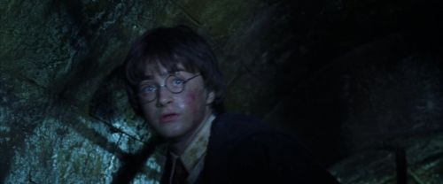 CS-Potterish_09017.jpg