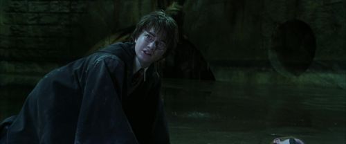 CS-Potterish_09057.jpg