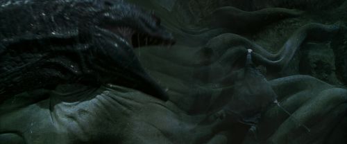 CS-Potterish_09118.jpg