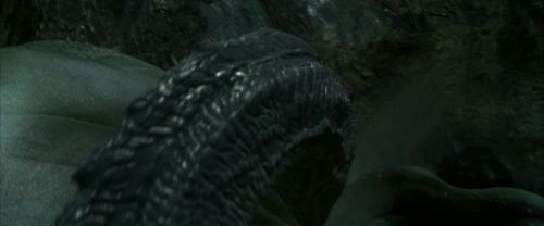 CS-Potterish_09127.jpg