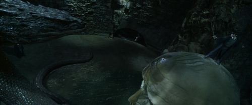 CS-Potterish_09132.jpg