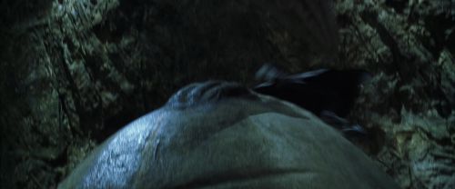 CS-Potterish_09148.jpg
