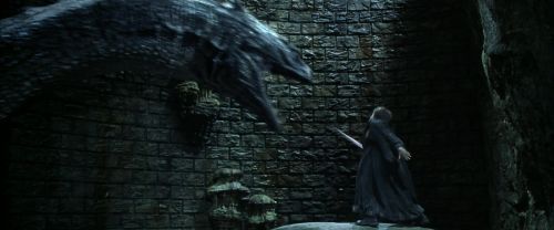 CS-Potterish_09159.jpg