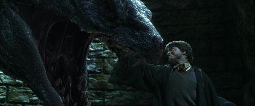 CS-Potterish_09162.jpg