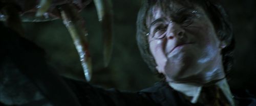CS-Potterish_09164.jpg