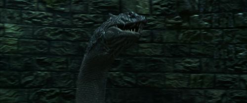 CS-Potterish_09175.jpg