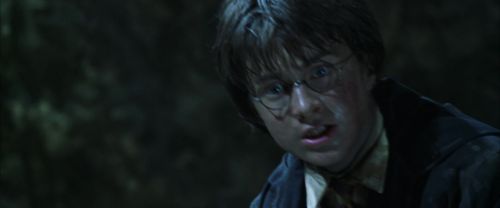 Click to view full size image
==============
CS-Potterish_09177.jpg CS-Potterish_09177.jpg