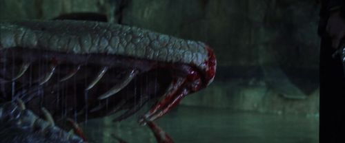 CS-Potterish_09218.jpg
