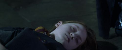 CS-Potterish_09240.jpg