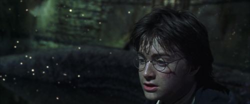 CS-Potterish_09310.jpg