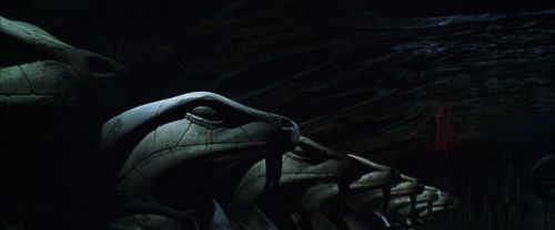 CS-Potterish_09355.jpg