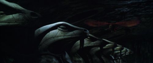 CS-Potterish_09356.jpg