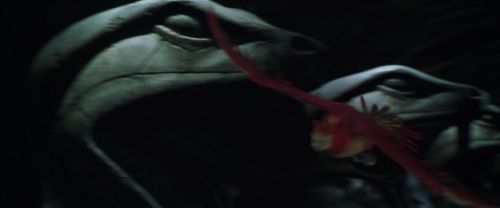 CS-Potterish_09357.jpg