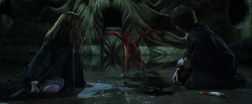 CS-Potterish_09363.jpg