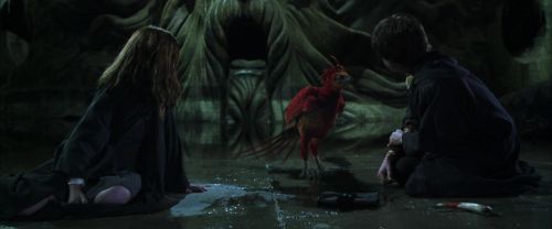 Click to view full size image
==============
CS-Potterish_09364.jpg CS-Potterish_09364.jpg