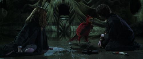 CS-Potterish_09365.jpg