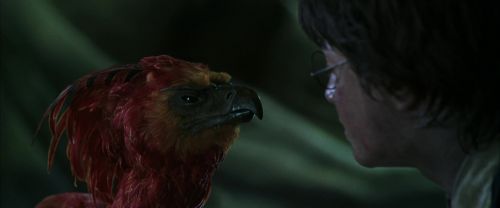 CS-Potterish_09367.jpg