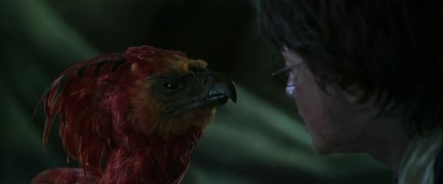 CS-Potterish_09368.jpg