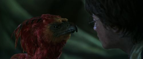 CS-Potterish_09369.jpg