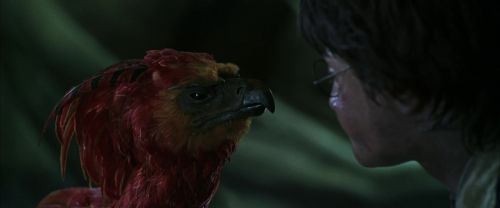 CS-Potterish_09370.jpg