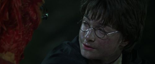 Click to view full size image
==============
CS-Potterish_09371.jpg CS-Potterish_09371.jpg
