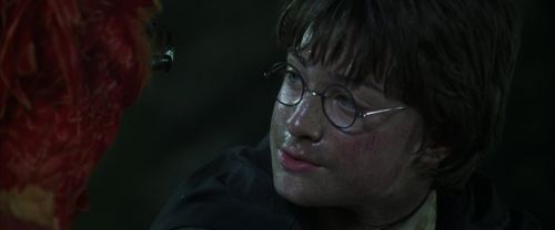 CS-Potterish_09372.jpg