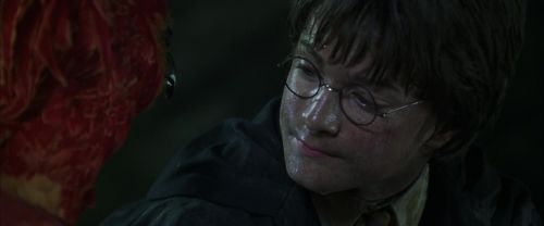 CS-Potterish_09377.jpg
