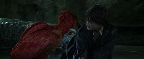 CS-Potterish_09378.jpg