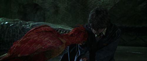 Click to view full size image
==============
CS-Potterish_09380.jpg CS-Potterish_09380.jpg