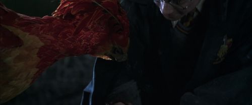 CS-Potterish_09398.jpg