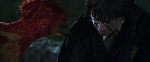 Click to view full size image
==============
CS-Potterish_09399.jpg CS-Potterish_09399.jpg