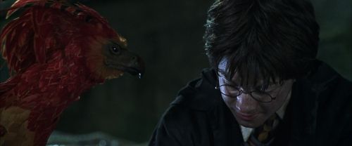 Click to view full size image
==============
CS-Potterish_09400.jpg CS-Potterish_09400.jpg