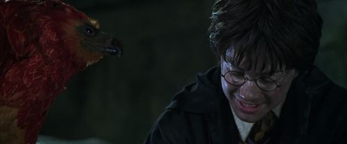 Click to view full size image
==============
CS-Potterish_09401.jpg CS-Potterish_09401.jpg